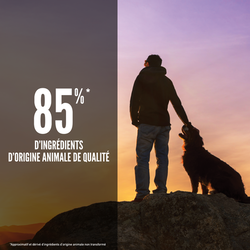 null - Product thumbnail 3.0